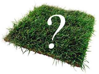 Адвокат по земельным спорам в Москве